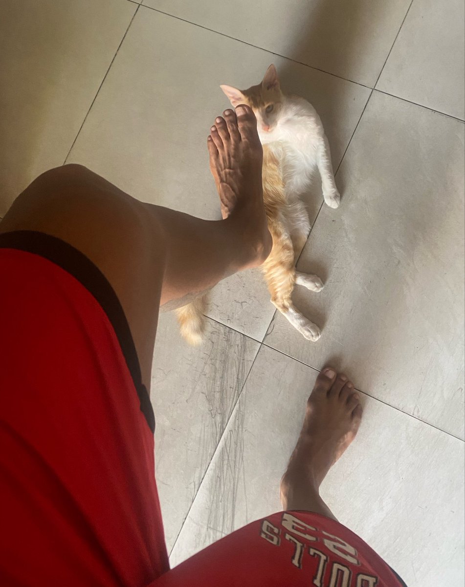 MasterRex05's tweet photo. My feet are bigger than the cat, I could crush your face https://t.co/Bk1YWxWbJ2