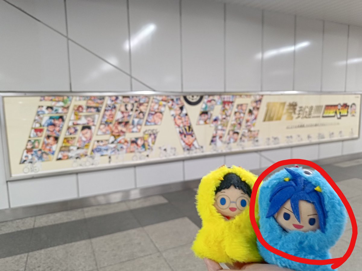 bicycle0w0's tweet photo. 【落とし物】
写真の赤い丸の真波山岳ぬい（青いもふもふ服を着てる）を探しています。最後に確認できたのは5月11日の秋葉原駅で、その際にぬいを手に持って写真を撮り、撮影後、京浜東北線で東十条駅まで帰宅しています。お心当たりのある方がいらっしゃいましたらご連絡いただけますと幸いです。 https://t.co/l2QAV3bwmd