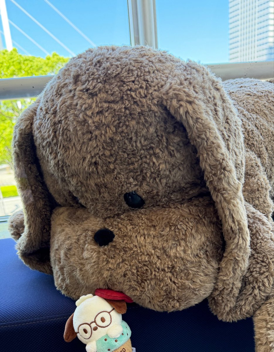 suaman18's tweet photo. マッカチ〜ン
アイス盗み食いしちゃダメだぞ〜 https://t.co/H8kOqlKKUX