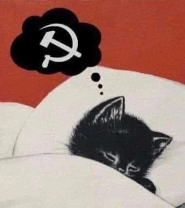 Criminal influencer☭ tweet media