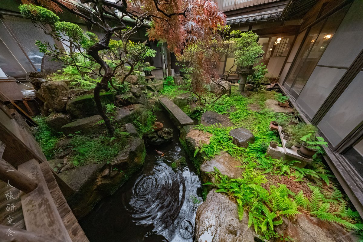 一人旅研究会 tweet media