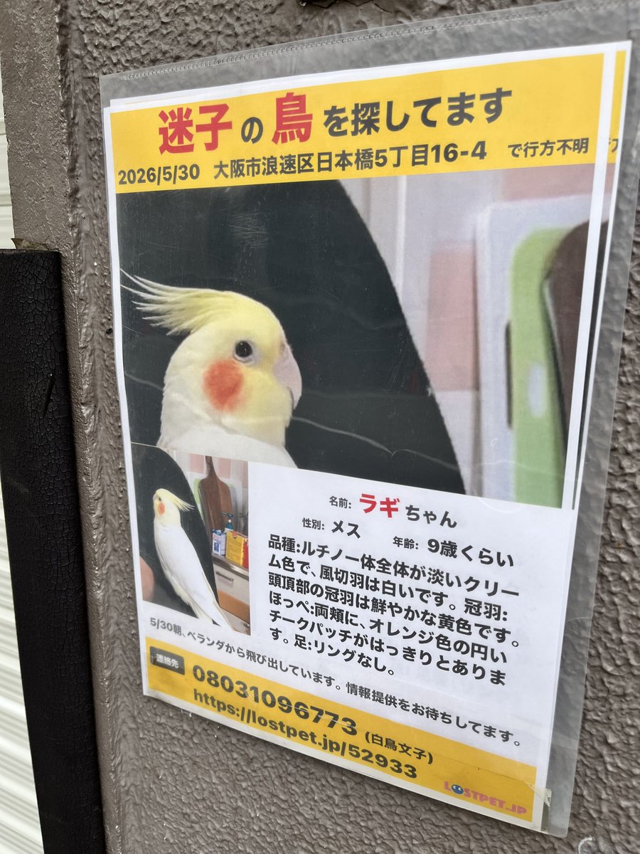 hirg5's tweet photo. 他人事ではない https://t.co/cwitMTmrru