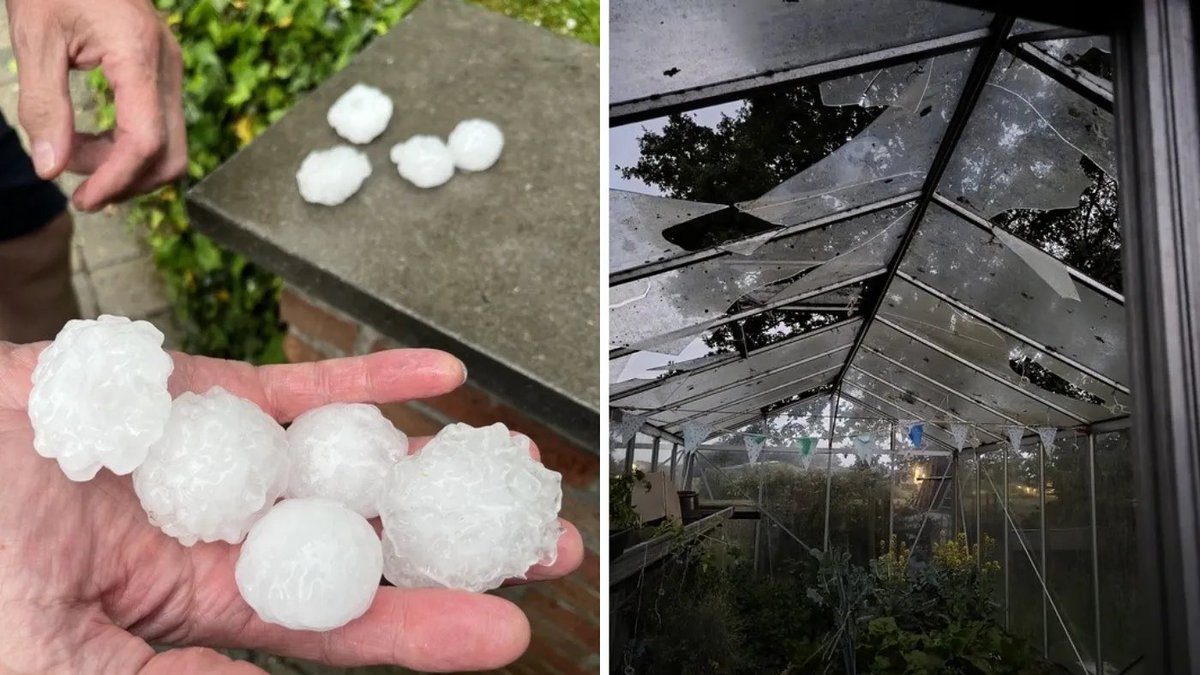 AnthroJesse's tweet photo. @kaiserthebloo @NWSNorthPlatte We're having the same here in Belgium, Some friends houses got mayor damage, Glass porches and piazza's got shatered , Car windows just plainly gone like they've been gunned down. Even garden furniture just ... made into swiss cheese! https://t.co/37QnLTaV5z