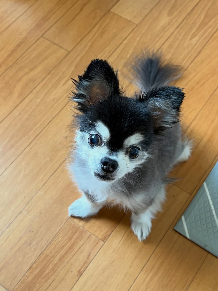 dramama20's tweet photo. 260531 #표예진 인스타 (1)
-
☀️☀️🥵
-
#Pyoyejin
📎https://t.co/ff8AYqwUBo https://t.co/rbk8CnmIbB