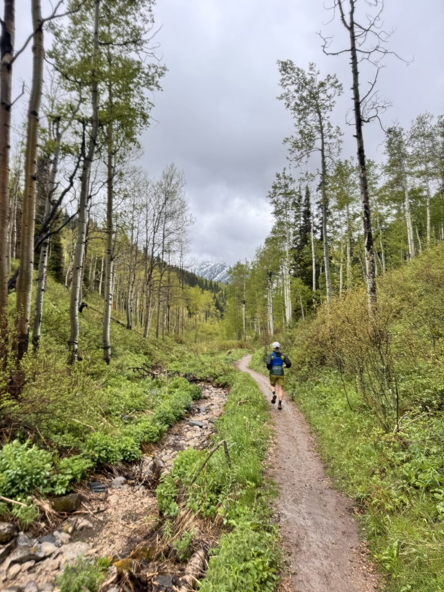 ASBaird's tweet photo. Started my run in the PNW, ran through January, somehow ended up in Ireland. (With a bonus moose) https://t.co/3dKaVy5ai3