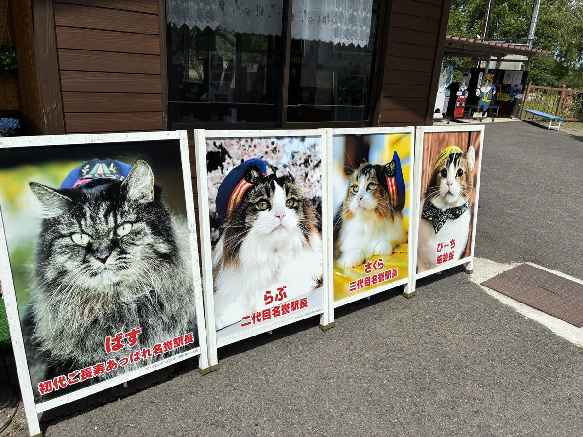 arc_nemi's tweet photo. 電車待ちの間駅散策。猫駅長は撮影禁止だけで猫グッズがいっぱいあった https://t.co/870gJXaoAc