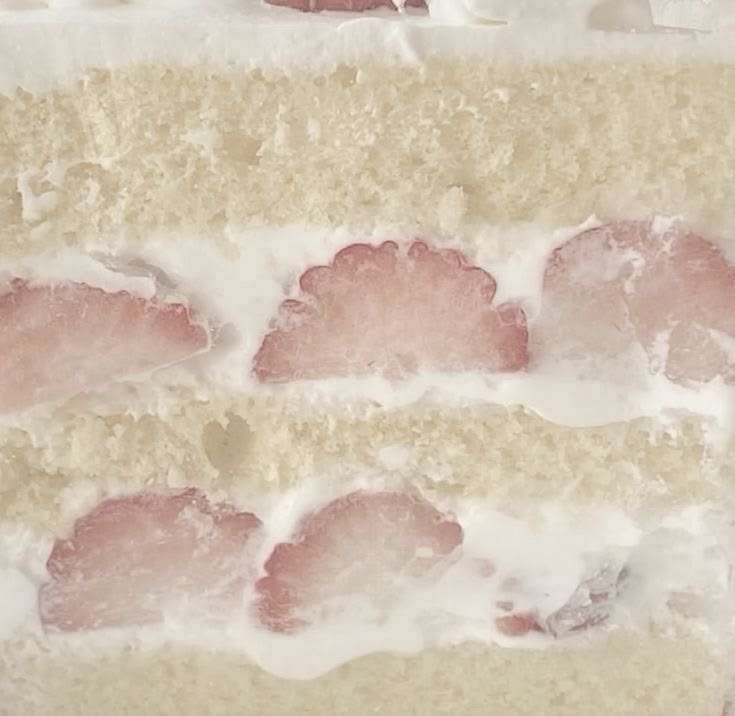 pprincessmelo's tweet photo. 🍨| #introduccion!
She/mujer
🍧| #kawai #movietwt #kpoptw #stantwt #cute
En busca de #mutis https://t.co/fbHXOlwpQM