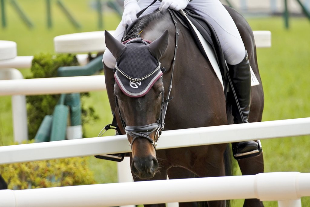 chihiro🐴 tweet media