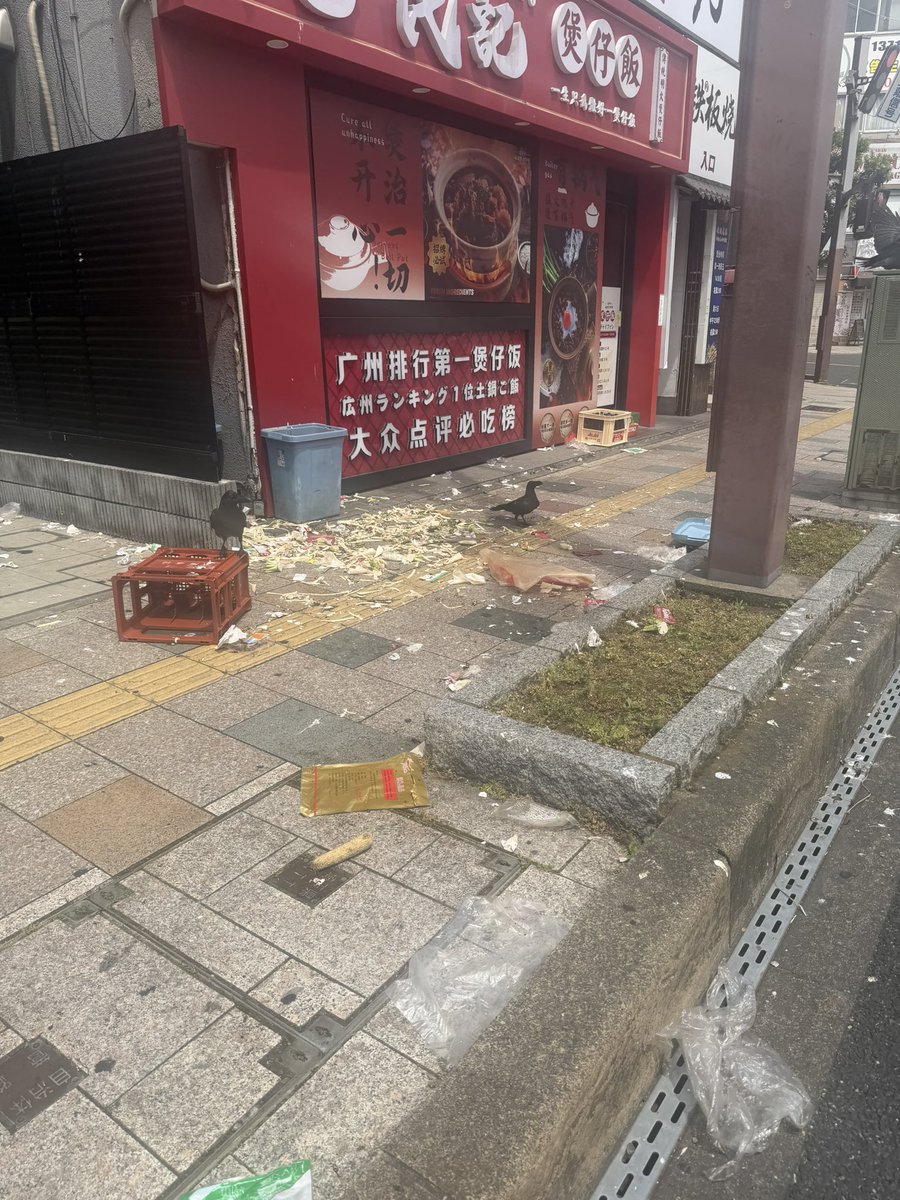ブランカちゃん〈お金持ちなりたい💸💸💸) tweet media