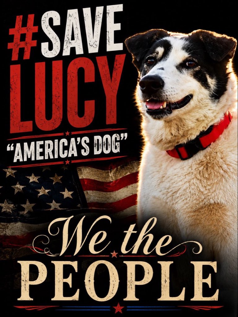 Generalchad3's tweet photo. #savelucy America’s dog 

@brendanmjones Be the veteran’s voice he fought for America a true warrior fighting for Lucy 🇺🇸 bonded with her when he was fighting ISIS during a war zone 

Lucy has become the voice of the world now 🔥 https://t.co/sGWMXWq66A