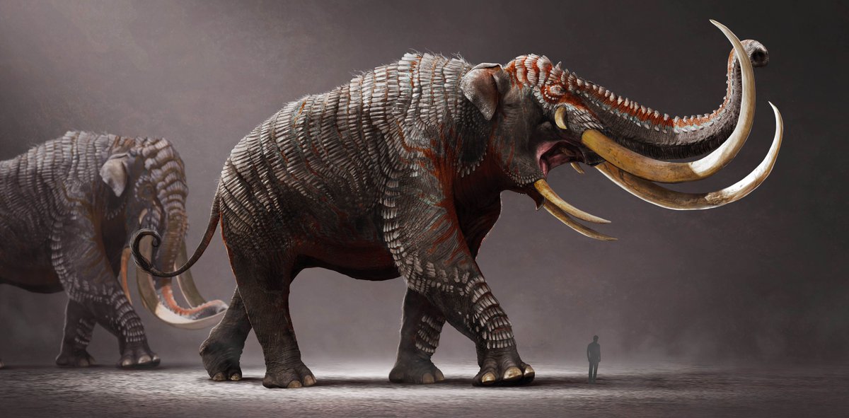 Tweeeze's tweet photo. REINTRODUCING: Stegotetrabelodon!

as some people know, my team and I have taken over development of Stegotetrabelodon, and our first order of buisness will be a TLC of the flagship creature!

I have also answered some questions in my discord!

Artwork by Chawizawd

#Arkmodding https://t.co/sqnS1y0i7E