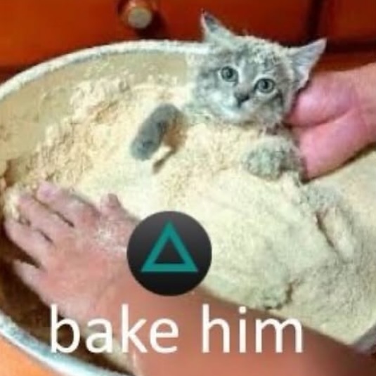 Punch Cat tweet media