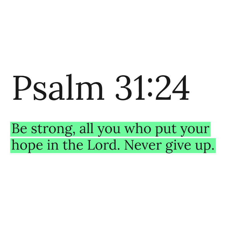 Holy Bible tweet media
