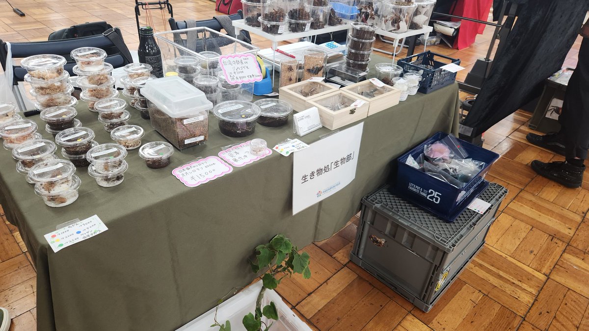 seibutubu2016's tweet photo. 本日開催のアクアリウムバス、生き物処｢生物部｣準備完了しました！
6階入ってすぐ左でお待ちしております！
#アクバス
#アクアリウムバス https://t.co/Wbv5jk3KPZ