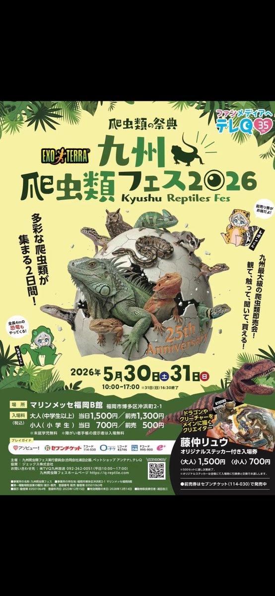 BebeRep's tweet photo. 九州爬虫類フェス２日目、先程会場致しました！
ご来場の際はお立ち寄り下さい！ https://t.co/UNcHjimOcZ