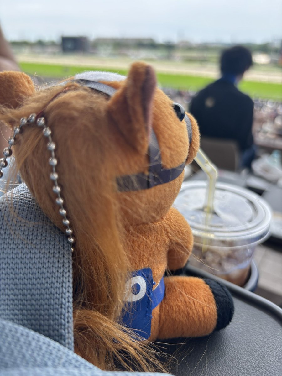 __dd96's tweet photo. うちのオルフェーヴル、コーラー嗜み中。#日本ダービー https://t.co/cYEuSMk7Hz