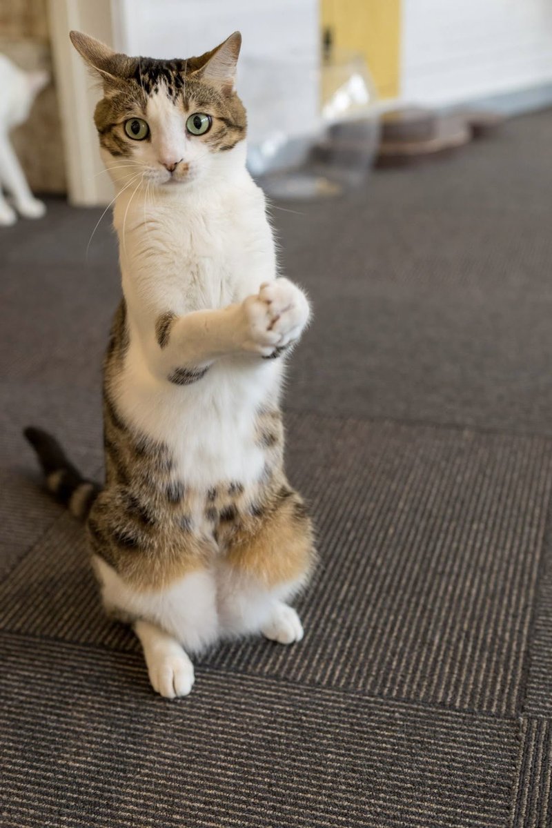 あっ👏 そうだ！
