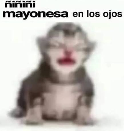 Samuel Z.🇲🇽🌮 tweet media