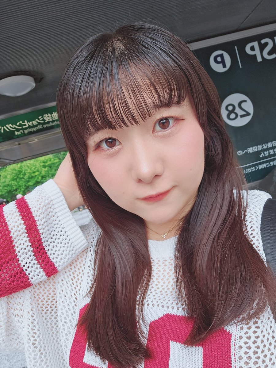 朋音 まゆ🦕☀️ tweet media