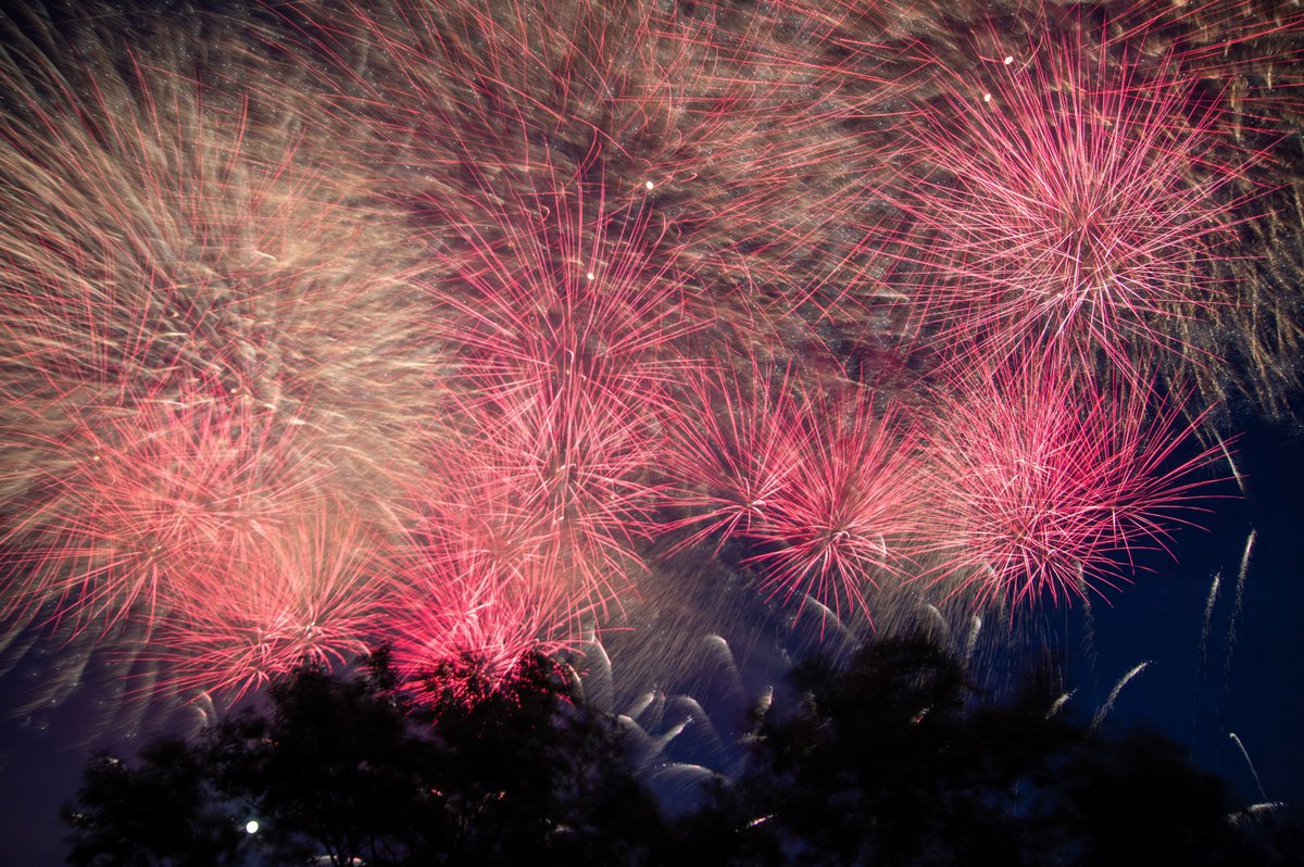 carp_king2018's tweet photo. SONY α7RⅣ
PENTAX KP
#足立区
#足立区花火
#2026花火
#足立区の花火大会
#足立区花火大会 https://t.co/GSTHv54ynk