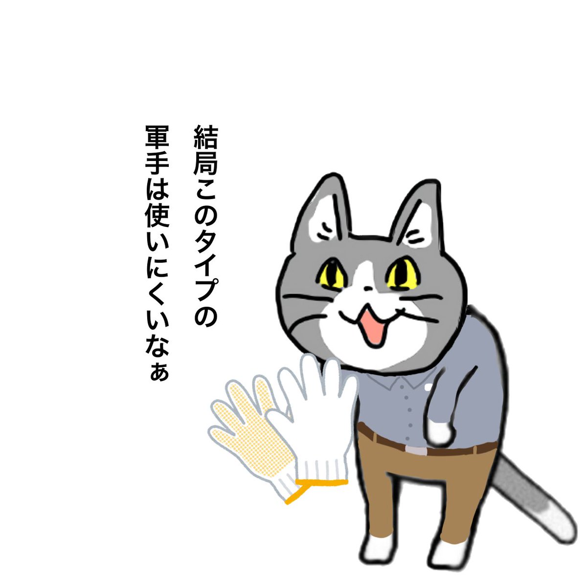 ホームセンター猫 tweet media