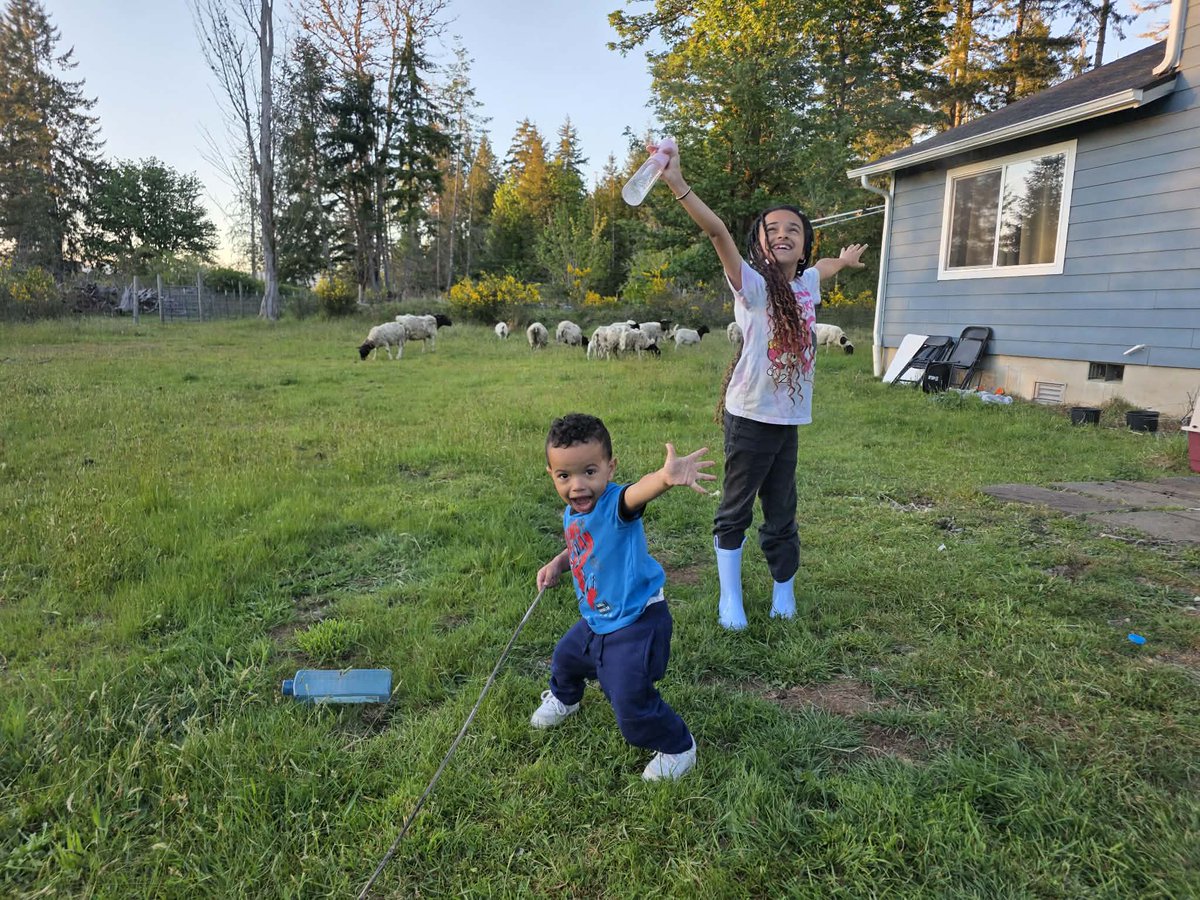 SamTheRam36's tweet photo. @judassince1998 @RockHomestead We love him too he really is the cutest  🥰 https://t.co/BLHlh3idbI