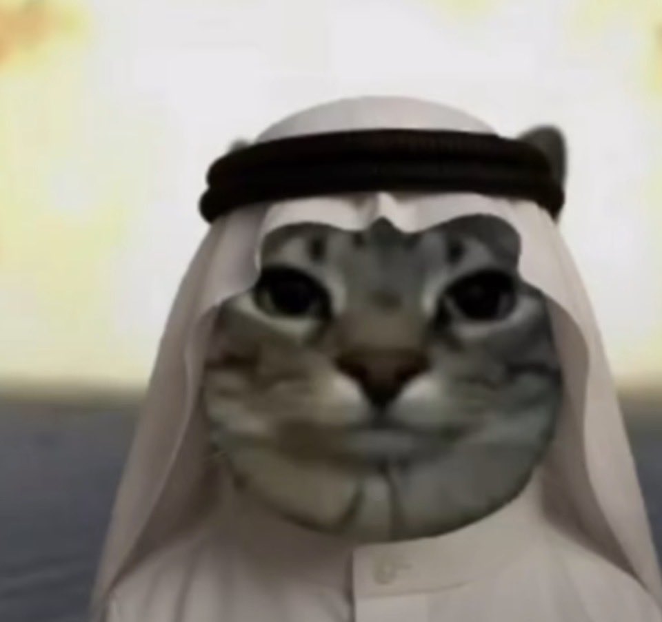 FrequentMoth's tweet photo. @GreentextWizard This is haram brother https://t.co/jCNhhrqGB8
