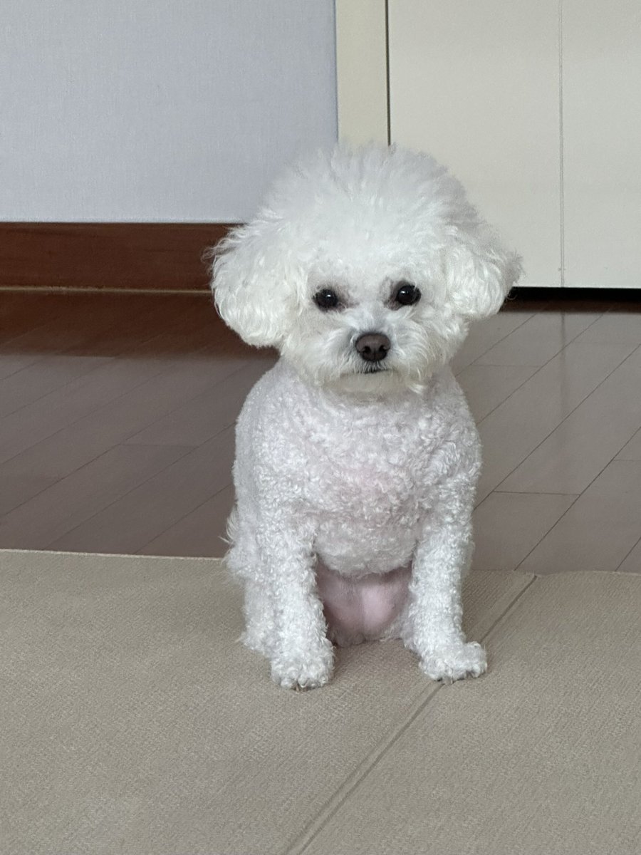 멈다나 tweet media