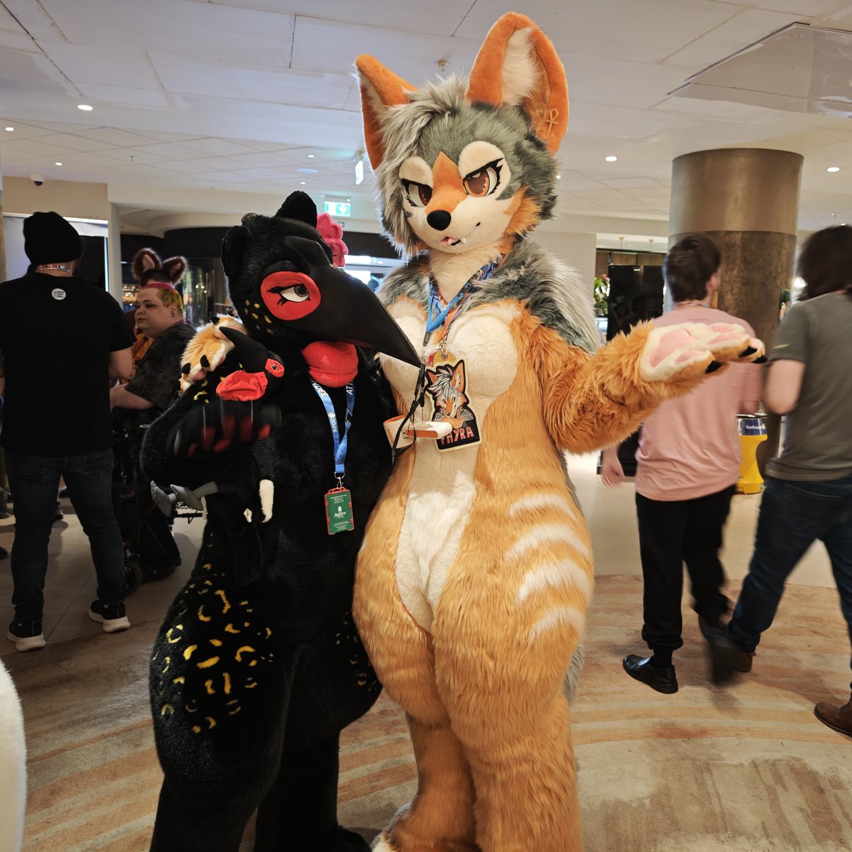 fhyrajackal's tweet photo. More cute photos from CFz ft. @RandomLab54 &amp; @RaniBirb ! 🧡

I'm trying really hard not to make a vorish joke about it, but Rani totally looks like she's looking at me with that "Fhyra, where's random?" look pfffhahaha, it's kinda precious~

🧵: @fishmimi_ https://t.co/hmT0NokVin