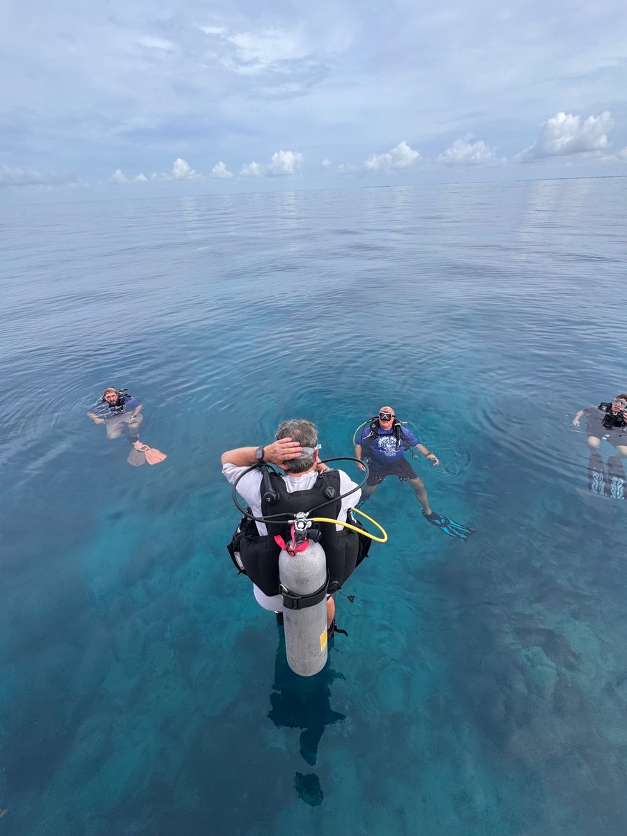 capthook's tweet photo. Looe Key went glass this morning. 🌊 70 ft viz, zero current, 83°F water — Captain Josh is running it again tomorrow. Get on the boat: https://t.co/aDlpzZtdDa 

#FloridaKeys #ScubaDiving #LooeKey https://t.co/6yisqmJDml
