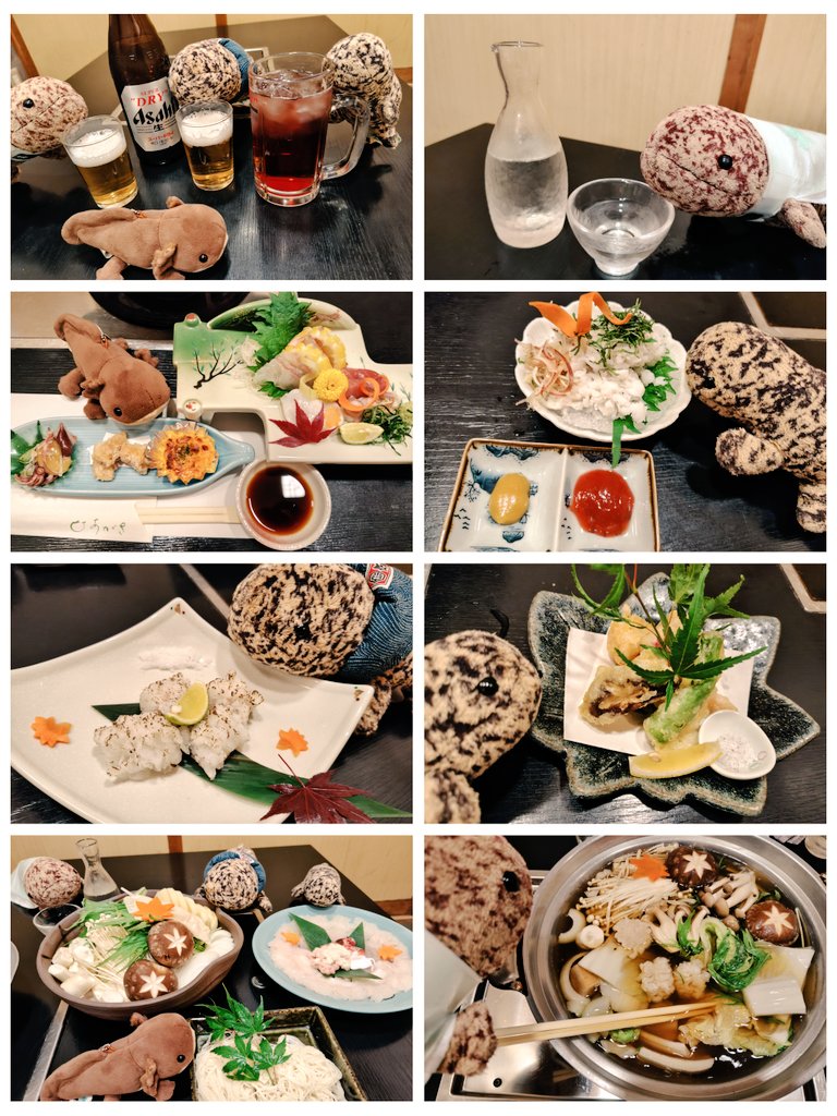 sanshoukun's tweet photo. 誕生日が近い家族のお祝いで、昨日の夕食はハモ料理を食べに行ったねん🎵
前菜・湯引き・造り盛合せ・焼き霜造り・変わり揚げ・はもすき🩷

どれも美味しゅうございました🥰 https://t.co/Pov3o6eGAQ