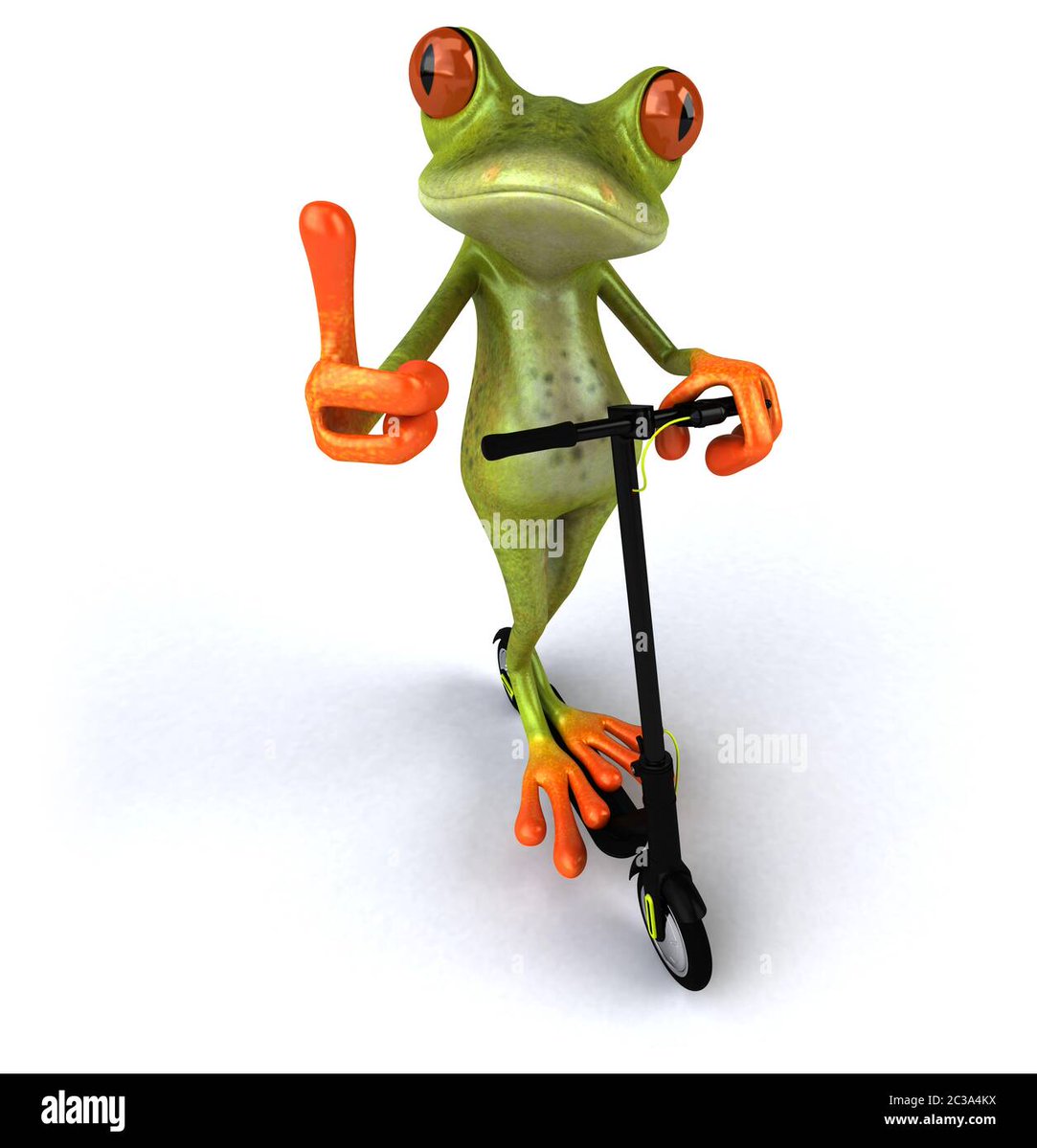 Zeebrongis's tweet photo. Anything you can imagine, this frog has probably done it. https://t.co/EFIebA77ST