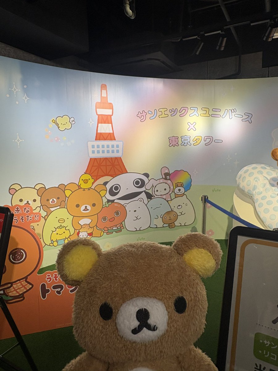 025m_R's tweet photo. #ワクワク芝さん歩 https://t.co/6NuMulzZYD