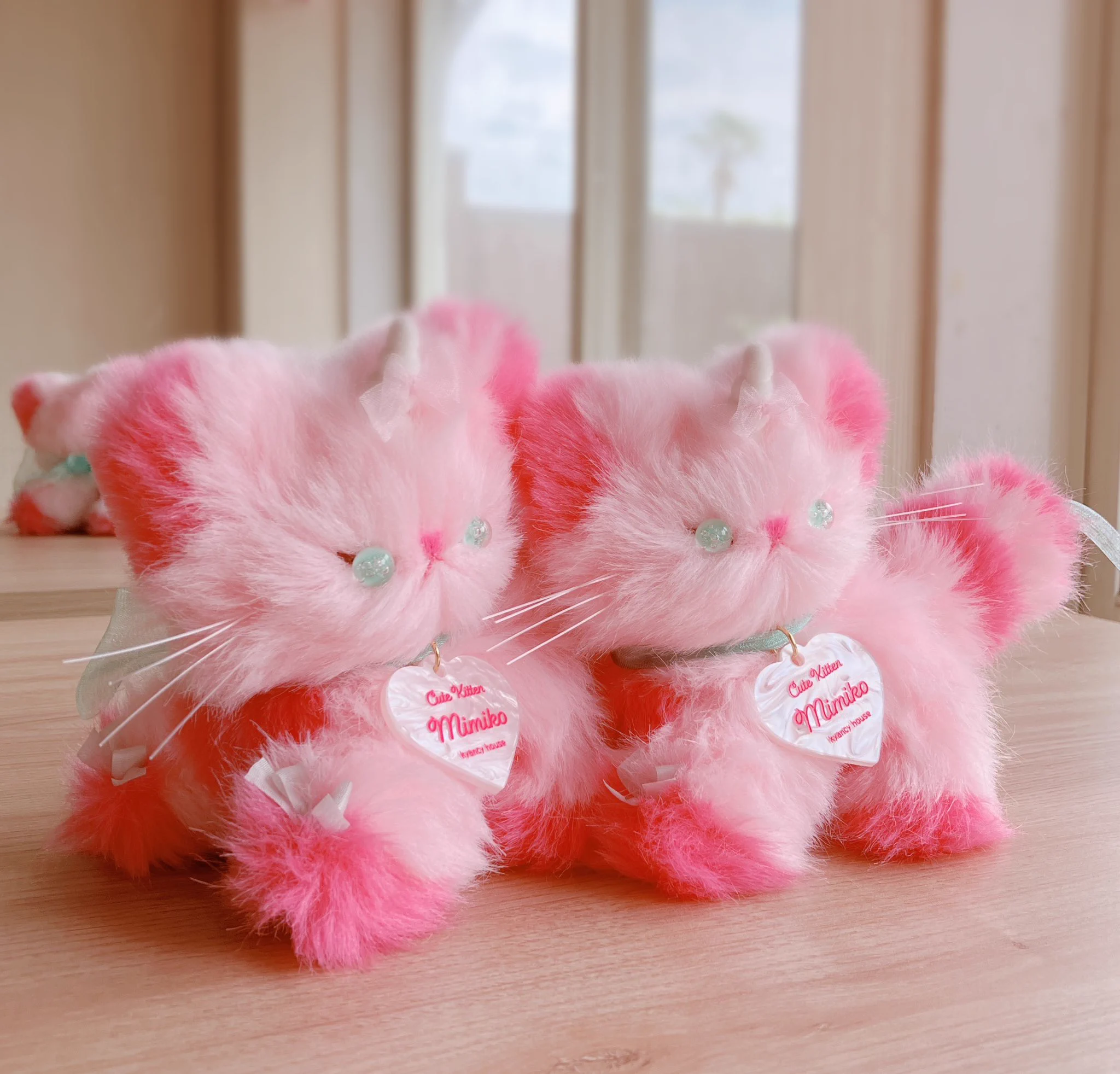 kyancy house キャンシーハウス (@kyancyhouse) / X