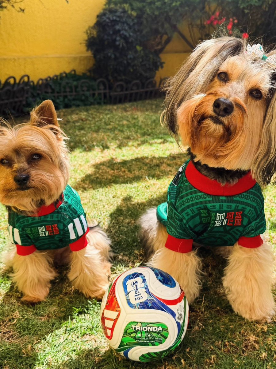 auragilt's tweet photo. @TUDNMEX apoyando a la Selección #ModoMundialista https://t.co/S07RjHK1Iu