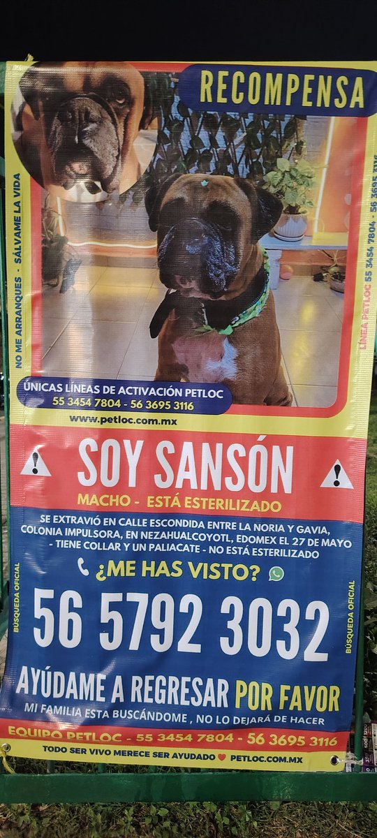 kunkun1906's tweet photo. #Compartír https://t.co/g0clZjHcsy