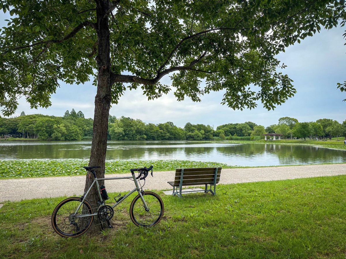nobumillenia's tweet photo. マイナスイオンの水元公園🌱

#minivelo
#Fujibikes
#Fuji
#HelionR

#水元公園 https://t.co/ULysLPaA4w