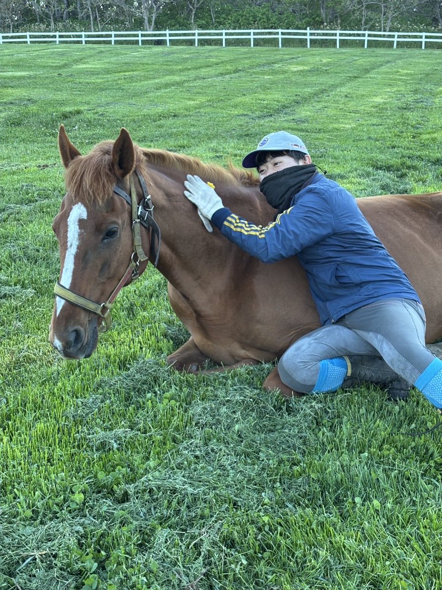 GrassSultan's tweet photo. 今日は競馬の祭典ダービー！
自分の本命はコンジェスタスです！
本当はタイダルロックに漢の二重丸をつけたかったんですが、、、、
皆さんの予想教えてください🙇 https://t.co/aI8KfdJEGm