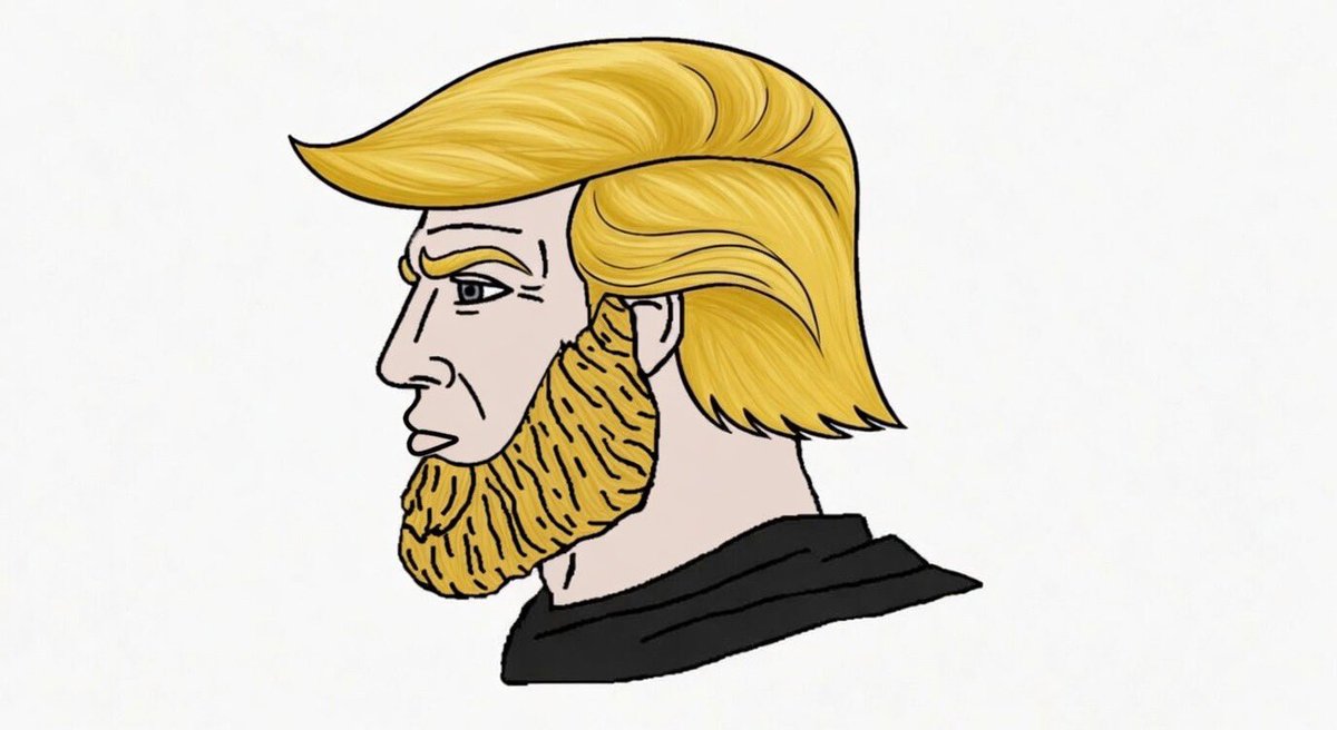 XTopMemes's tweet photo. @GuntherEagleman Trump is a Chad https://t.co/ra3JVJarUy