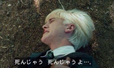 お佐藤 tweet media