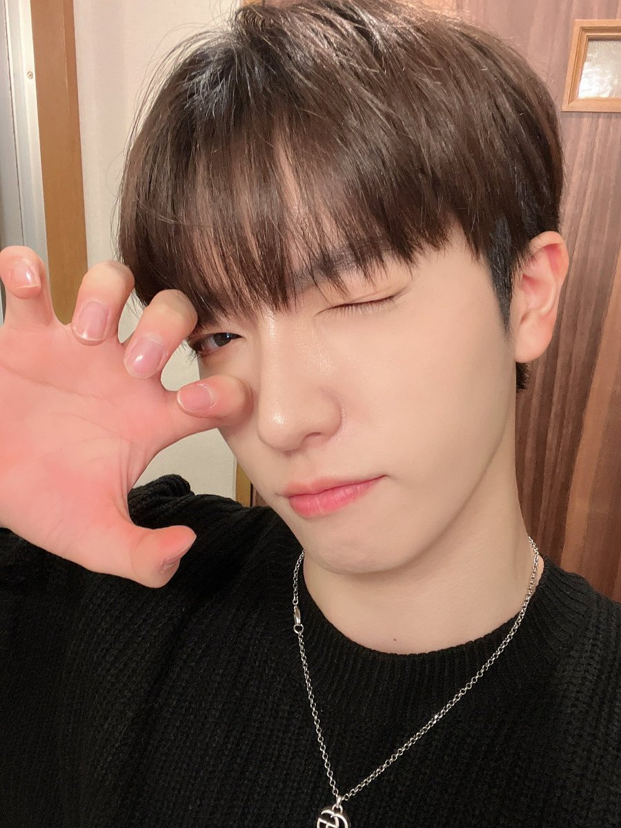포도큐 tweet media