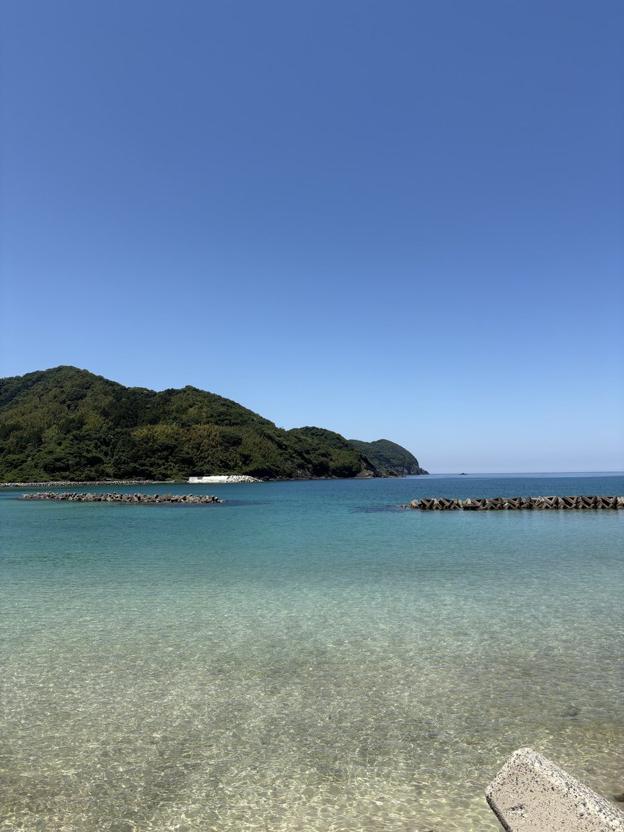 waaahimadayooo's tweet photo. きれーい！ https://t.co/VjzL88YtFe