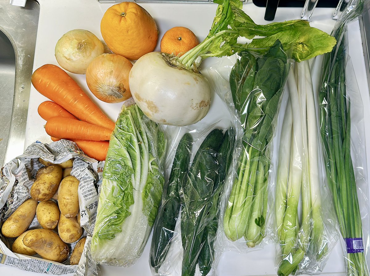 usako_kurobane's tweet photo. ロスヘルという規格外野菜のサブスク取ってるんだけど、Sサイズ(2千円ちょっと)でこの量だし、自分では選ばないものが色々入ってて楽しい。傷やサイズ気にしない人にはおすすめ。でっけー蕪で何作ろ😋ﾌﾌﾌ https://t.co/aejUJRarYV