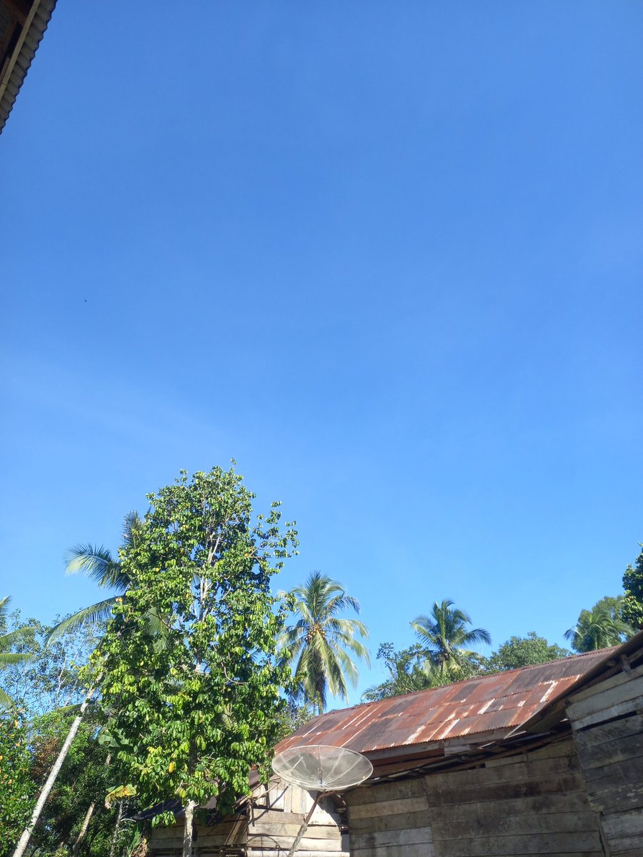 adgthia's tweet photo. Biru bersih tanpa noda #sky #blue https://t.co/MnCxfmQ844