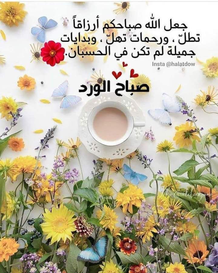 وحيد tweet media