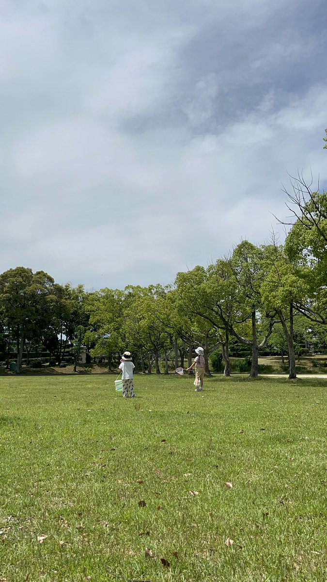 CazooR's tweet photo. 虫取り👒 https://t.co/feeYhQ9Fe8