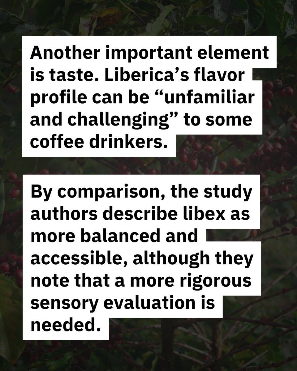 FreshCupMag's tweet photo. https://t.co/UJFjvCrenM