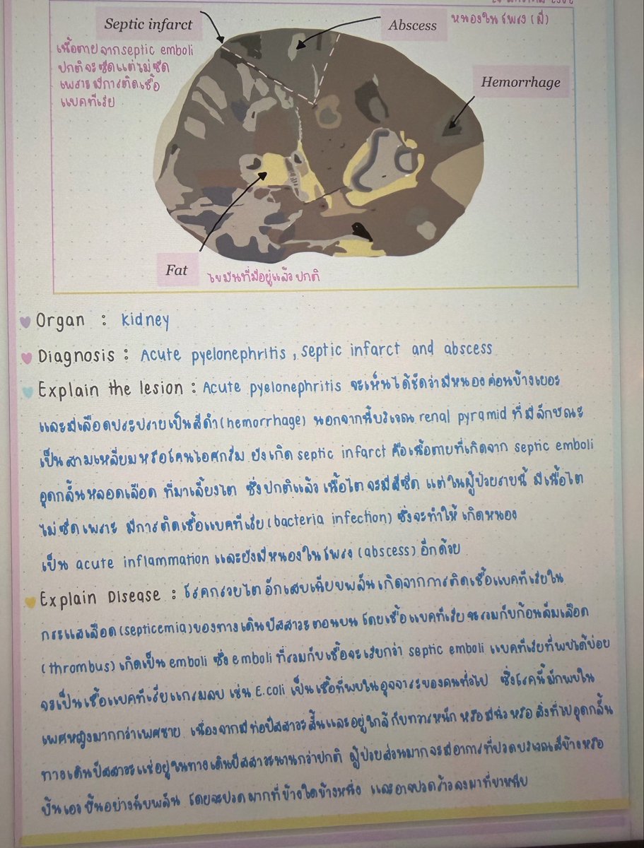 napqin1's tweet photo. ลายมือเปลี่ยนแทบทุกปี 5555555555 https://t.co/33KW57OYAO