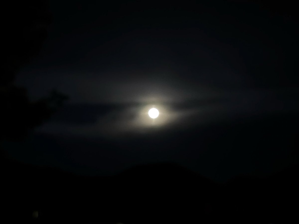 ave_omnibus's tweet photo. Summer serenade 
Crickets sing to the full moon
An old man listens 

#haiku https://t.co/Fdq0J9M515
