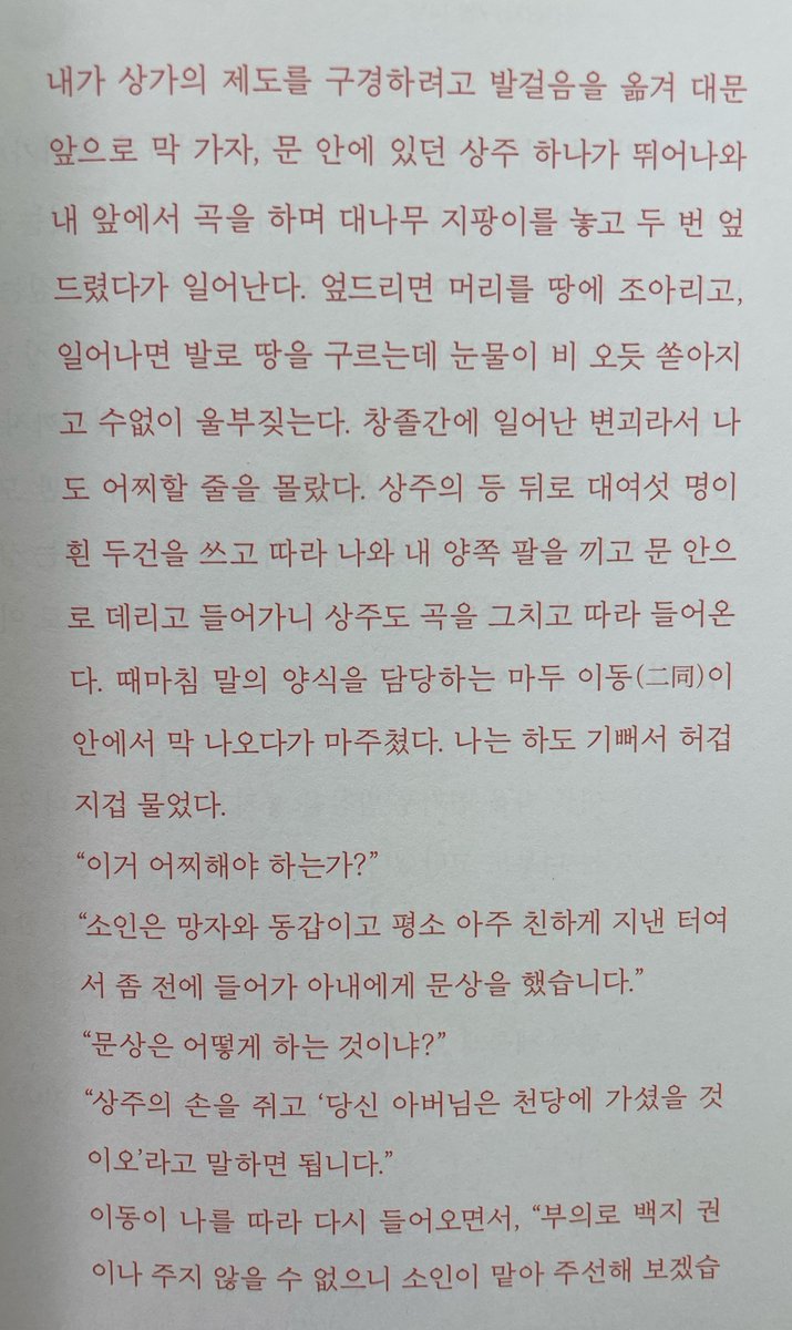 젤리비 tweet media
